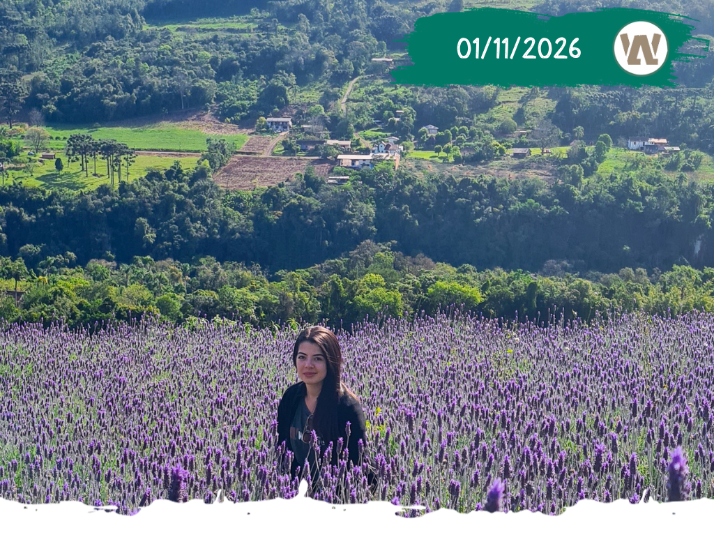 Caminhada em Walachai – 01/11/2026